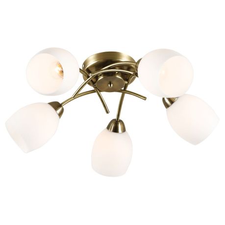 Cajees Lighting and Electrical